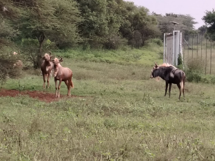 6 Bedroom Property for Sale in Zeerust North West